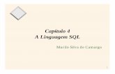 A Linguagem SQL Capítulo 4 - inf.ufsc.brmario/cap4texto.pdf · 4 Estrutura Básica SQL é baseada em operações em conjuntos e relações com algumas modificações e melhorias.