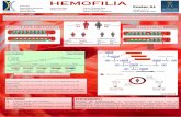 HEMOFILIA - estescoimbra.pt · Hemof il ia Coagulación normal Tipos de hemofilia Tipo A 80 a dos casos de hemofilia Níveis reduzidos de Factor