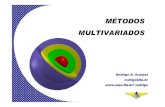 MÉTODOS MULTIVARIADOS - mec.ita.brrodrigo/Disciplinas/MB213/S15.pdf · CRISP-DM (Cross Industry Standard Process for Data Mining) SEMMA (Sample, Explore, Modify, Model and Assess)