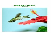 PRIMORES - Songfisher.orgsongfisher.org/book/Primores Portuguese.pdf · Choro muito e lamento Tudo que já se passou Deixo tudo saudosamente E vou viver no meio das flores Vou viver