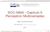 SCC-5809 - Capítulo 5 Perceptron Multicamadaswiki.icmc.usp.br/images/0/0f/SCC5809Cap5-V2.pdf · O perceptron, com função de ativação linear, pode ser modelado como um discriminador
