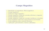 Campo Magnético - fisica.uc.pt · 1/27 Campo Magnético • Introdução ao magnetismo. Pólos magnéticos • Campo magnético • Linhas de campo magnético • Campo magnético