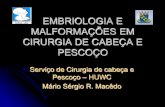 EMBRIOLOGIA E MALFORMAÇÕES EM CIRURGIA …¡rio Sérgio Rocha... · Desenvolvimento Anômalo do Sistema Vascular - Hemangiomas ... EMBRIOLOGIA E MALFORMAÇÕES EM CIRURGIA DE CABEÇA