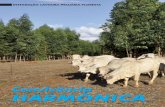 Convivência HARMÔNICA · A LavouraNO 690/2012 15 Sistemas agroflorestais diversificados são uma opção para a recuperação de áreas degradadas, produção de alimentos, de serviços