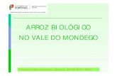 ARROZ BIOLÓGICO NO VALE DO MONDEGO - … · arroz biológico – Projecto iniciado há mais de 10 anos Arroz Biológico - Bico da Barca. II Encontro Agro-ecológico Coimbra 27/03/2015