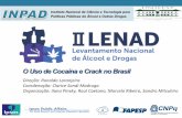 O Uso de Cocaína e Crack no Brasil - inpad.org.brinpad.org.br/wp-content/uploads/2013/03/LENAD_PressRelease_Coca… · Instituto Nacional de Ciência e Tecnologia para Políticas