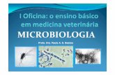 I Oficina ensino basico MICRO - crmvsp.gov.br · MICROBIOLOGIA Ementa O curso de Microbiologia destina-se ao auxílio do conhecimento básico e aplicado, colaborando na formação