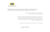 MARKETING 4.0: ESTUDO DE CASO DA GESTÃO …monografias.poli.ufrj.br/monografias/monopoli10024812.pdf · 2018-04-03 · Marketing Digital 2. Influenciadores Digitais 3. Startup ...