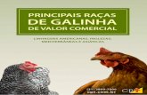 A GALINHA DOMÉSTICA - cptstatic.s3.amazonaws.comcptstatic.s3.amazonaws.com/pdf/cpt/avicultura/racas-de-galinhas... · Com o desenvolvimento da avicultura em torno do mundo, os avicultores