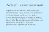 Zoologia – estudo dos animais. · Zoologia – estudo dos animais. organismos eucariotos, multicelulares, heterotróficos e que obtém seus alimentos por ingestão de nutrientes
