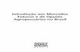 Introdução aos Mercados Futuros e de Opções … · Introdução aos Mercados Futuros e de Opções Agropecuários no Brasil 9 1. MERCADO FUTURO AGROPECUÁRIO NO BRASIL 1.1. O