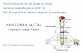 Aula Anatomia Sutil - 5º semestreecaths1.s3.amazonaws.com/praticasintegrativas/777536180.Aula... · direita, para fazer a limpeza dos chakras (de 3 a 7 vezes). Comece pelo chakra