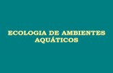 ECOLOGIA DE AMBIENTES AQUÁTICOS - …professor.pucgoias.edu.br/SiteDocente/admin/arquivosUpload/10102... · ECOLOGIA DE AMBIENTES AQUÁTICOS • Ernest Haeckel (1834 – 1919) •
