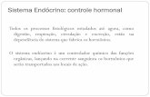 Sistema Endócrino: controle hormonalrepositorio.geracaoweb.com.br/images/201108100957fisiologia3.pdf · Sistema Endócrino: controle hormonal Todos os processos fisiológicos estudados