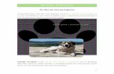 Newsletter de Novembro Os cães de raça portuguesacovelovet.pt/content/pdf/newsletter-nov16.pdfMicrosoft Word - Newsletter Novembro_raças autóctones.docx Created Date 10/26/2016