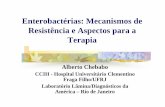 Enterobactérias: Mecanismos de Resistência e … · Enterobacter Amp C ... Sem uso de Carbapenêmicos nos 14 dias prévios ... Ciprofloxacina 400 mg 8/8h Regime EC KP AB PSA 98