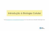 Introdução à Biologia Celular - ifsc.usp.branapaula/ffi710/2008/aula1.pdf · A biologia celular • O microscópio óptico tornou-se popular somente no século XIX. Duas publicações