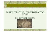 PROJETO PLANTAS VIVAS RIO GRANDE DO SUL - … 25_09_ 2008.pdf · Assim, me construo a ouro e sedas. Em salas supostas invento palcos, cenários, para viver ... Dar continuidade, no