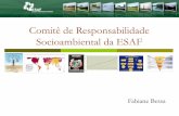 C DO A Comitê de Responsabilidade Socioambiental da ESAF · Comitê de Responsabilidade Socioambiental da ESAF Fabiane Bessa ARTIGO 193 ORDEM SOCIAL INCISO II CIDADANIA ARTIGO 225