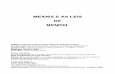 MEIOSE E AS LEIS DE MENDEL - Instituto de … · célula, do mecanismo de multiplicação celular (mitose) e das leis de Mendel. É muito importante que seja dada ênfase ao ...