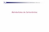 Metabolismo de Carboidratos - Bizuandobizuando.com/material-apoio/bioq2/4-MetabolismoCarboidratos.pdf · ProfªEleonora –Slide de aula ... Na célula, a oxidação da glicose necessita