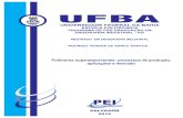 Polímeros superabsorventes: processos de produção ...§ão.pdf · Resumo da Dissertação apresentada ao PEI/UFBA como parte dos requisitos ... SAP, esta dissertação ... indústria