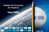 Apresentação do PowerPointiprocess.com.br/wp-content/uploads/2014/05/WEG-Gestao-de-Process… · a disseminação do modelo de gestão WEG nas unidades de negócio e nas Filiais