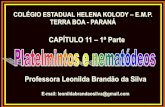 Professora Leonilda Brandão da Silva · Platelmintos: Características gerais – p.133 •Costuma-se chamar de verme qq animal invertebra-do que tenha o corpo alongado, fino e sem