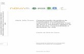 Maria João Sousa Caracterização da prática da ... final.doc.pdf · Relatório do Projeto de Investigação apresentado para cumprimento dos requisitos necessários à obtenção