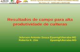 Resultados de campo para alta produtividade de culturasbrasil.ipni.net/ipniweb/region/brasil.nsf... · Sistema Agrícola Sustentável com Colheita Econômica Máxima . São Pedro,
