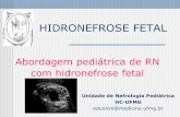 REFLUXO VÉSICO-URETERAL FETAL: EVOLUÇÃO …nefroped.hc.ufmg.br/portal/Arquivos/iArquivos/publicacao_111.pdf · Ultra-sonografia do trato urinário fetal o primeiro relato de uma