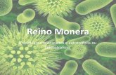 Reino Monera - zaccaria.g12.br Fundamental II/Série 17... · Reino Monera •Formado por bactérias e cianobactérias. •TODOS estes são organismos muito simples, unicelulares