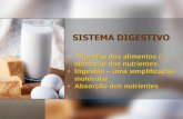 O Sistema Digestivo no Homem - blogs.ua.ptblogs.ua.pt/.../wp-content/uploads/2015/03/Sistema-Digestivo.pdf · Tubo digestivo: Estômago É a região mais dilatada do tubo digestivo,
