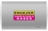 Jan 2017 - engezer.com.br · A Engezer oferece equipamentos para análise de gases ao mercado há mais de 15 anos. Temos uma sede de mais de 1200m² localizada na cidade do Rio de