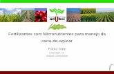 Fertilizantes com Micronutrientes para manejo da cana …Fertilizantes com micronutrientes... · ÁCIDO FOSFOROSO + BASE (óxidos, hidróxidos ou carbonatos com micronutrientes) Compostos