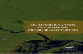Quilombola lands in oriximiná: Pressure and ThreaTs · 8 •Quilombola Lands in Oriximiná: Pressure and Threats Introduction The quilombolas from oriximiná are descendants of slaves