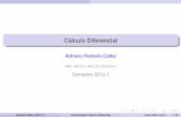 Calculo Diferencial´ - Adriano Cattai · Semestre 2012.1 Adriano Cattai (2012.1) Apresentac¸ao C˜ ´alculo Diferencial 1 / 29. ... 3 O estudante de calculo deve ter um conhecimento