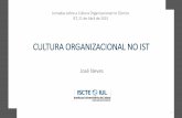 Cultura organizacional no IST - Autenticação · SENTIMENTOS AMPLOS E NÃO ESPECIFICOS DE ... Individual Promoções, ... Y, Z) Camadas da cultura organizacional 10 .