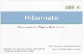 Hibernate - DEINF/UFMAgeraldo/poo/11.Hibernate1.pdf · JPA (EJB 3.0) 7. Hibernate ... Open Source; Suporte: Coleções Relacionamento entre objetos Herança, polimorfismo e composições