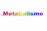 O QUE É O METABOLISMO - UNESP: Câmpus de … · Metabolismo é a somatória de todas as transformações químicas de uma célula ou organismo . 1 ...