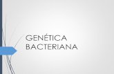 GENÉTICA BACTERIANA - docs.ufpr.brpdalzoto/2016BIO009GENETICABACTERIANA.pdf · BACTERIANA. Dogma da Biologia Molecular. GENOMA Molécula de DNA que contém todas as informações