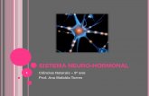 SISTEMA NEURO-HORMONAL - …files.saberesnet.webnode.pt/200000078-2c6b92d65a/Sistema Neuro... · CONSTITUIÇÃO DO SISTEMA NEURO-HORMONAL O sistema neuro-hormonal é formado pelo