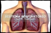 SISTEMA RESPIRATÓRIO - fisiofatern.weebly.comfisiofatern.weebly.com/uploads/5/0/6/3/5063294/aula_sistema... · Sistema Respiratório Divisão do Sistema Respiratório Porção de