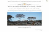 República da Guiné-Bissau - info.undp.org · FF Fundo Florestal FEM Fundo Mundial do Ambiente GAPLA Gabinete de Planificação Agrária ... PNUD Programa das Nações Unidas para
