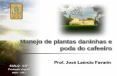 Manejo de plantas daninhas e poda do cafeeiro - … cafeeiro.pdf · ESALQ - USP Produção Vegetal maio - 2012 Prof. José Laércio Favarin Manejo de plantas daninhas e poda do cafeeiro