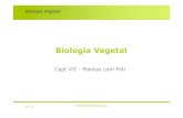 Biologia Vegetal - FCULwebpages.fc.ul.pt/~maloucao/Aula 22BV.pdf · Maio 06 Maria Amélia Martins-Loução 3 Biologia Vegetal Base química da côr das flores Flavonóides Carotenóides