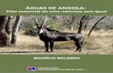 ÁGUAS DE ANGOLA: PILAR ESSENCIAL DE UMA … · precedentes trouxe para Angola dezenas de elefantes, gnus, rinocerontes, girafas, avestruzes, antílopes e cheetas, transportados por