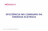 EFICIÊNCIA NO CONSUMO DA ENERGIA ELÉTRICA · Versião 2.0 – Direitos Reservados PROCOBRE 2009. Capítulo 1: Eficiência energética em sistemas elétricos. Capítulo 2: Avaliação
