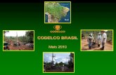 CODELCO BRASIL EXPLORACION EN BRASIL - … • Empresa estatal chilena fundada em 1976. • Algumas minas chilenas em operação por quase 100 anos. • Líder na produção mundial