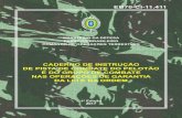 MINISTÉRIO DA DEFESA EXÉRCITO BRASILEIRO …bdex.eb.mil.br/jspui/bitstream/1/822/1/EB70-CI-11-411 - Pist Cmb... · eb70-ci-11.411 ministÉrio da defesa exÉrcito brasileiro comando